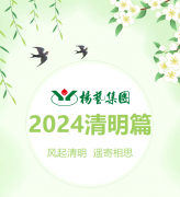 风起清明 遥寄相思|尊龙凯时人生就是博集团?2024清明篇